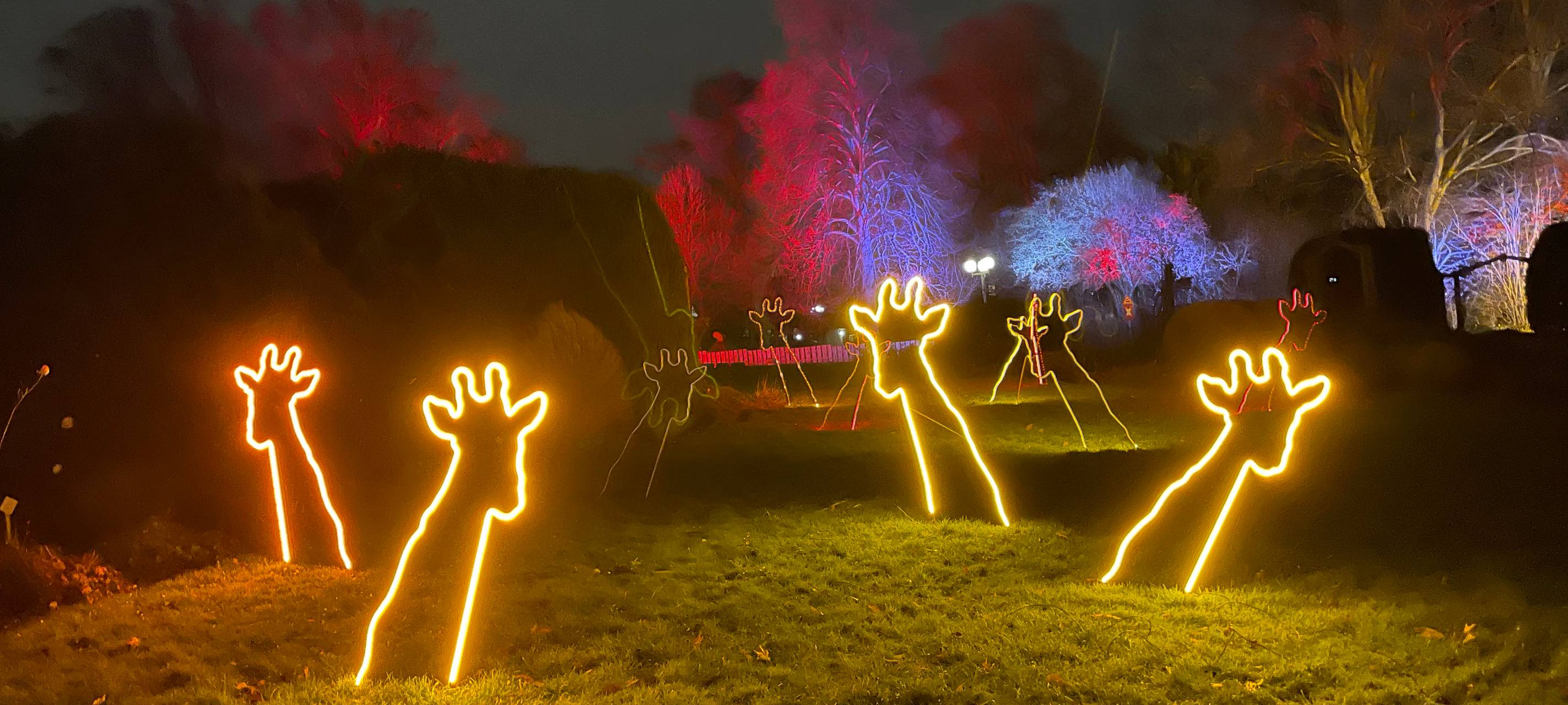 Winterleuchten beginnt im Dortmunder Westfalenpark