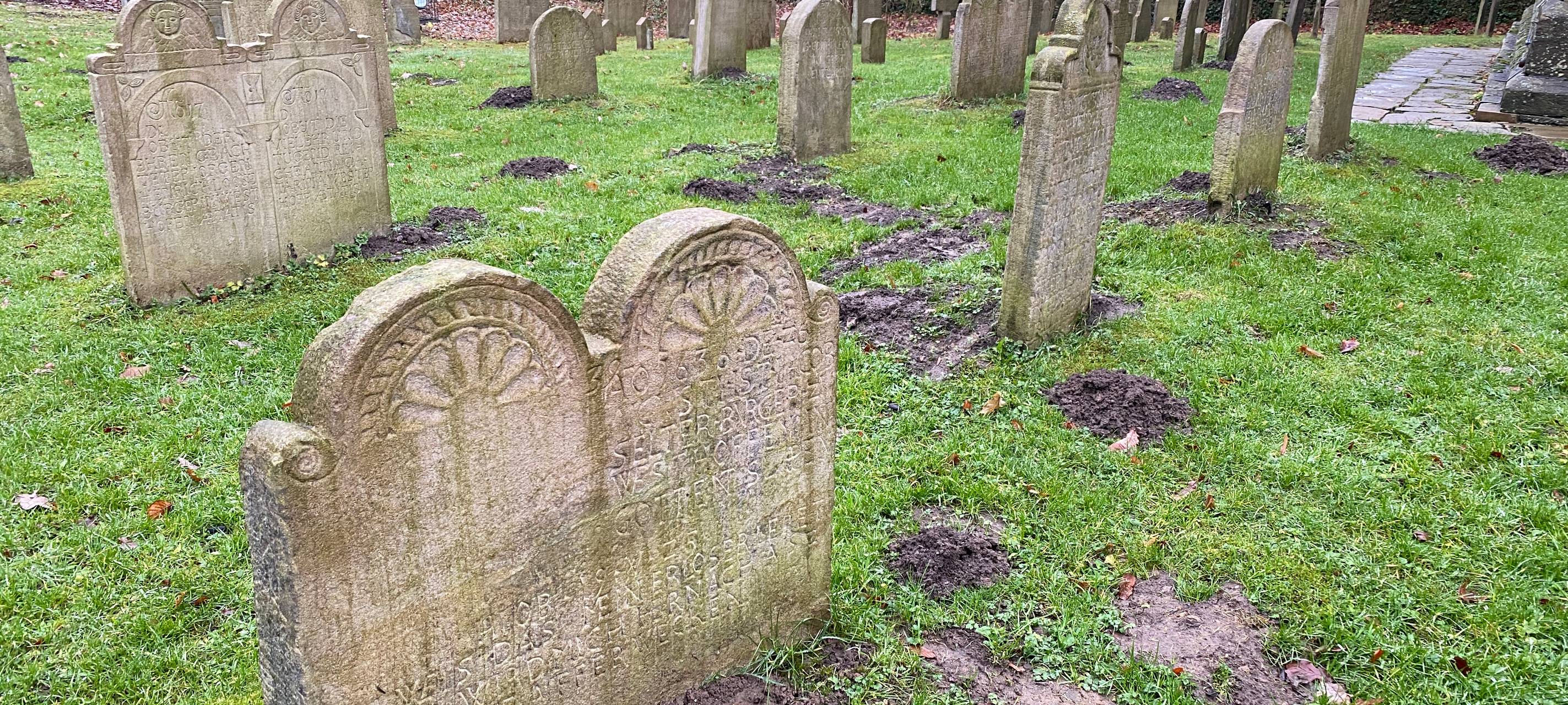 Dortmund: Ein Spaziergang auf der Hohensyburg