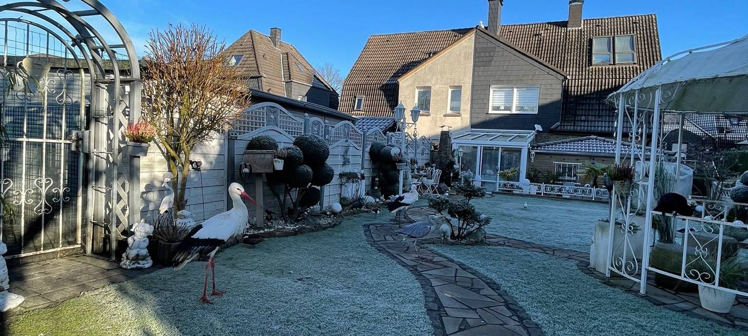 Stadt Dortmund: Vögel mussten eingeschläfert werden