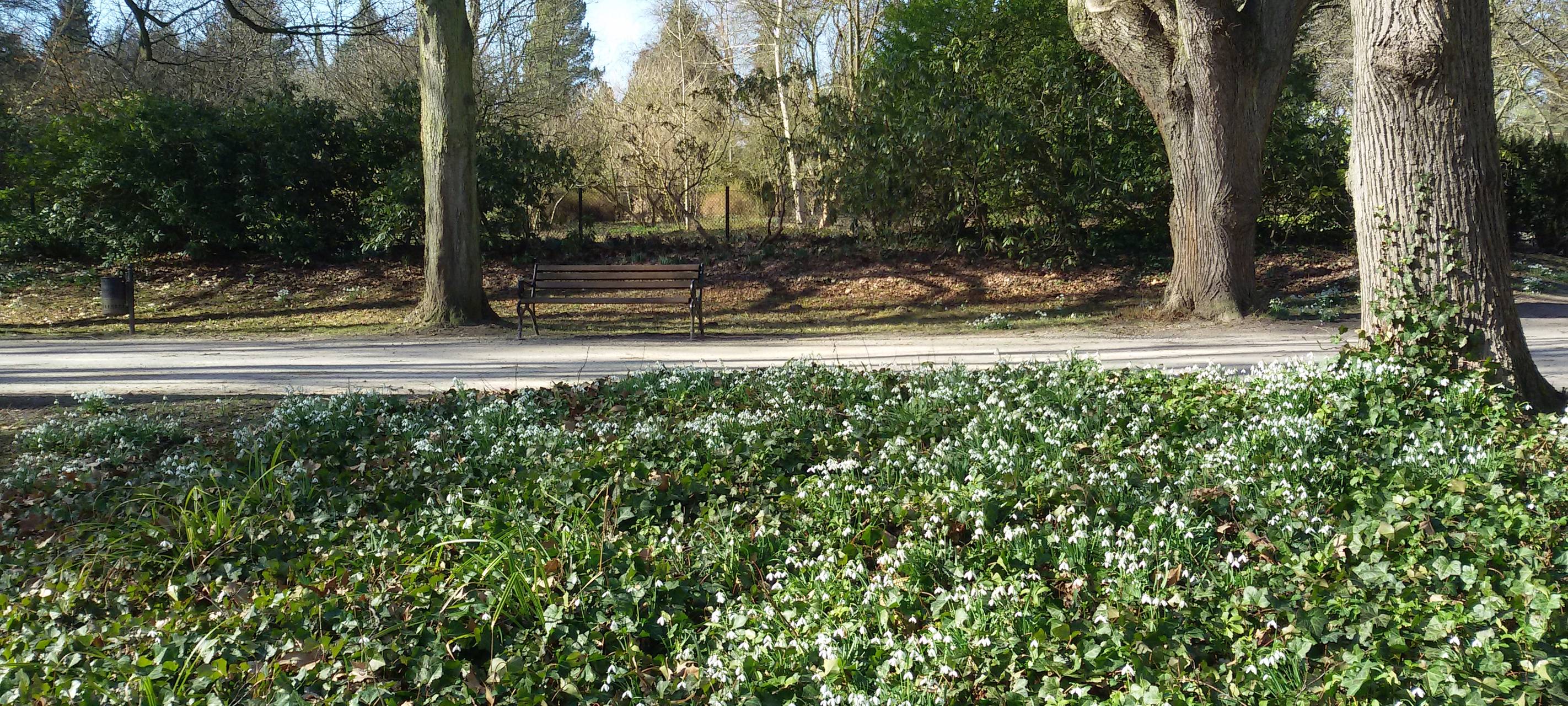 Vorfrühling im Rombergpark