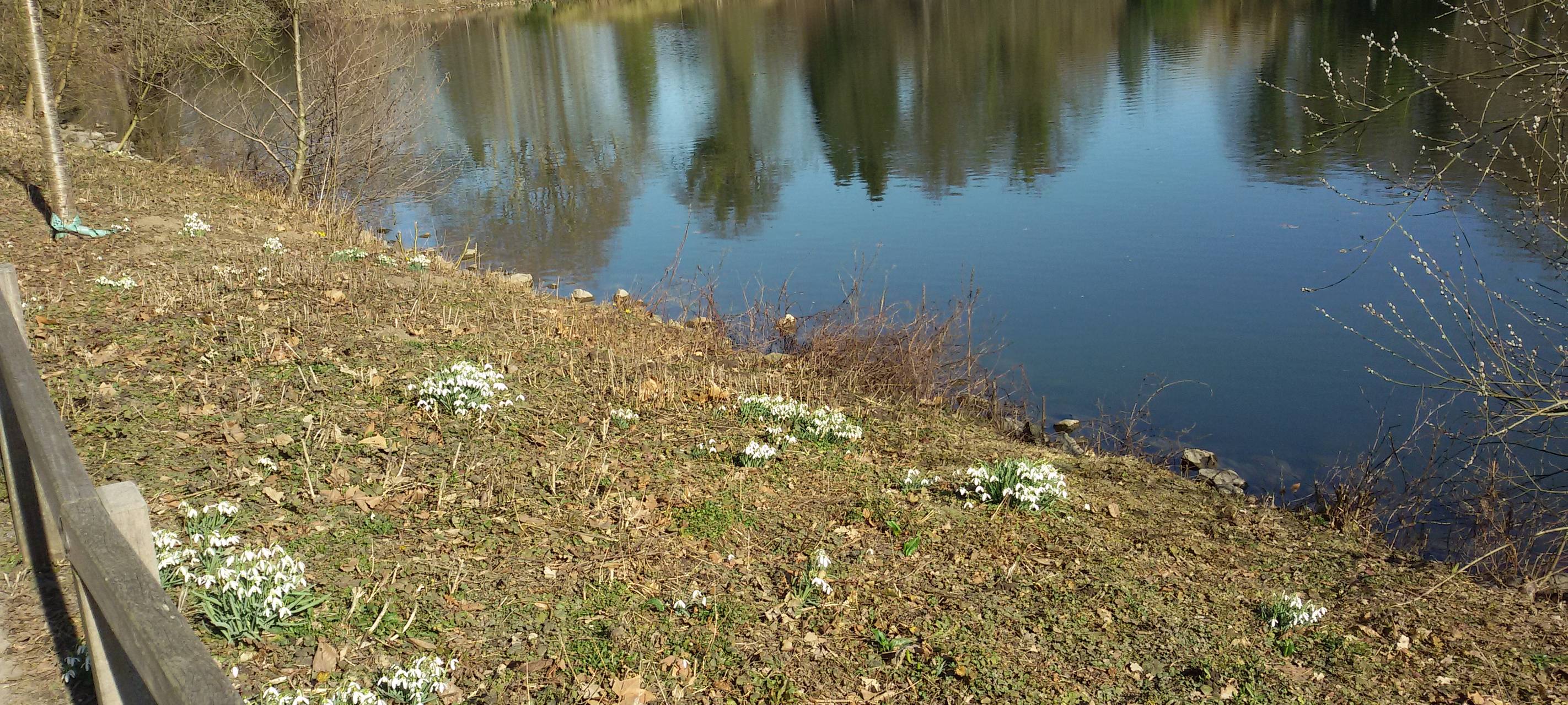Vorfrühling im Rombergpark