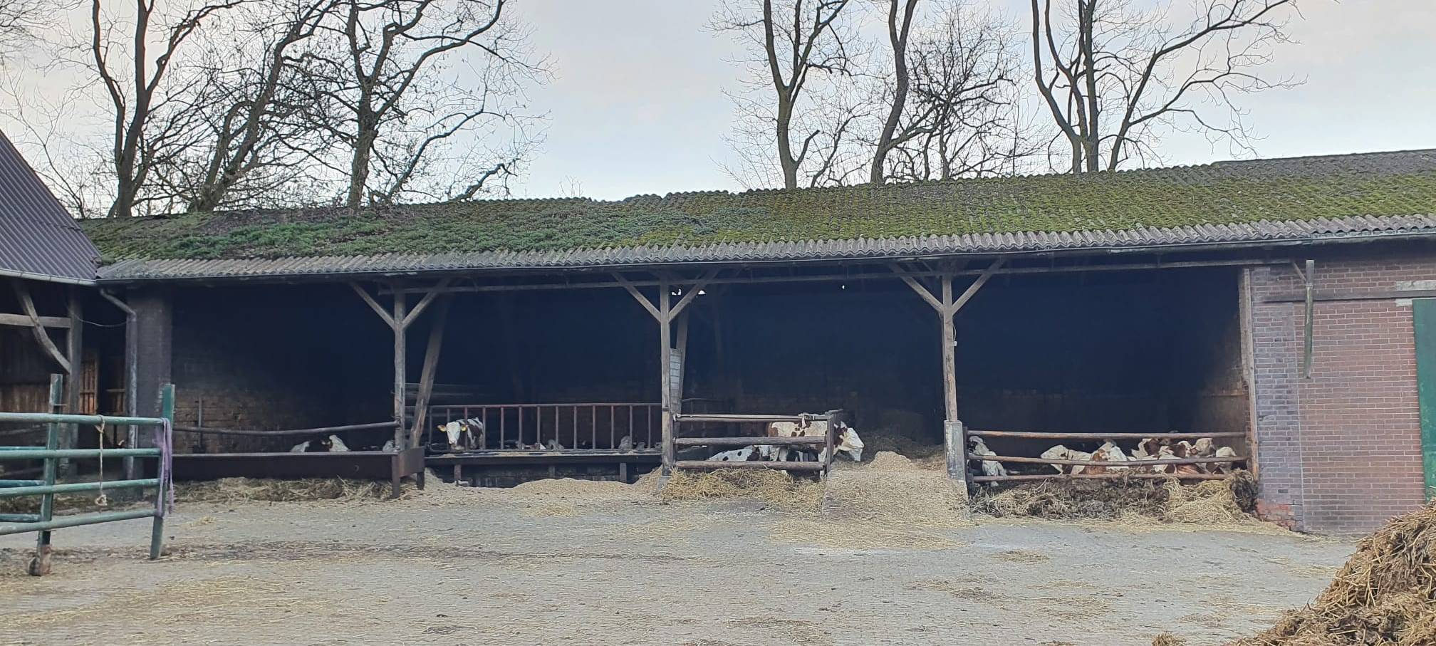 Helden der Frühschicht: Auf dem Bauernhof Kampmann