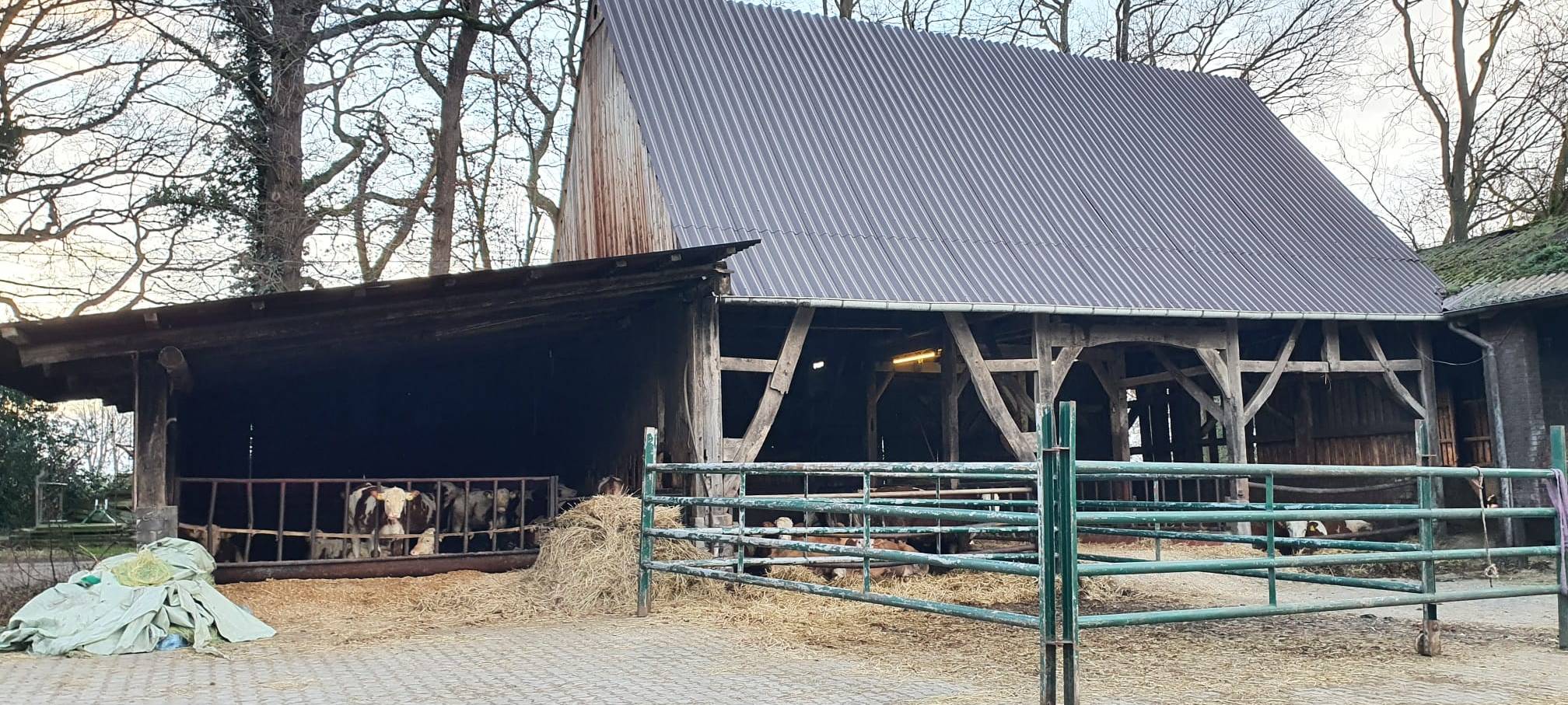 Helden der Frühschicht: Auf dem Bauernhof Kampmann