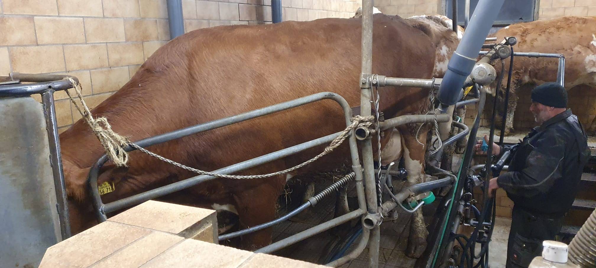 Helden der Frühschicht: Auf dem Bauernhof Kampmann