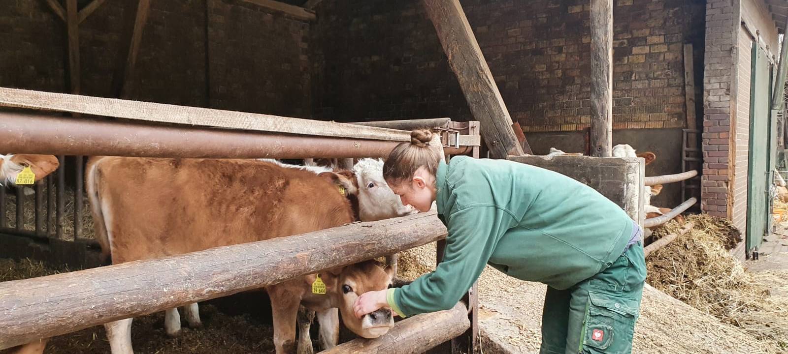 Helden der Frühschicht: Auf dem Bauernhof Kampmann