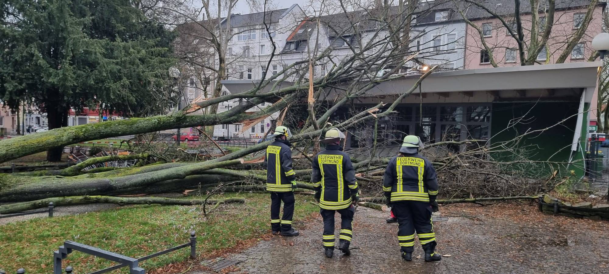 Sturm-Tief Antonia zieht durch Dortmund