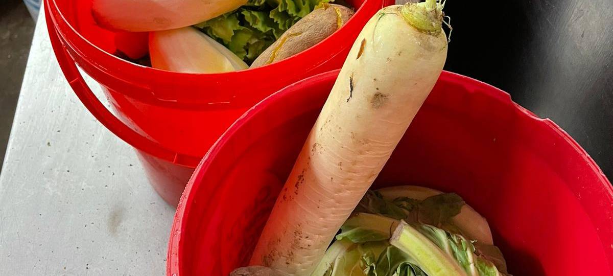 Helden der Frühschicht: Tierpfleger im Dortmunder Zoo