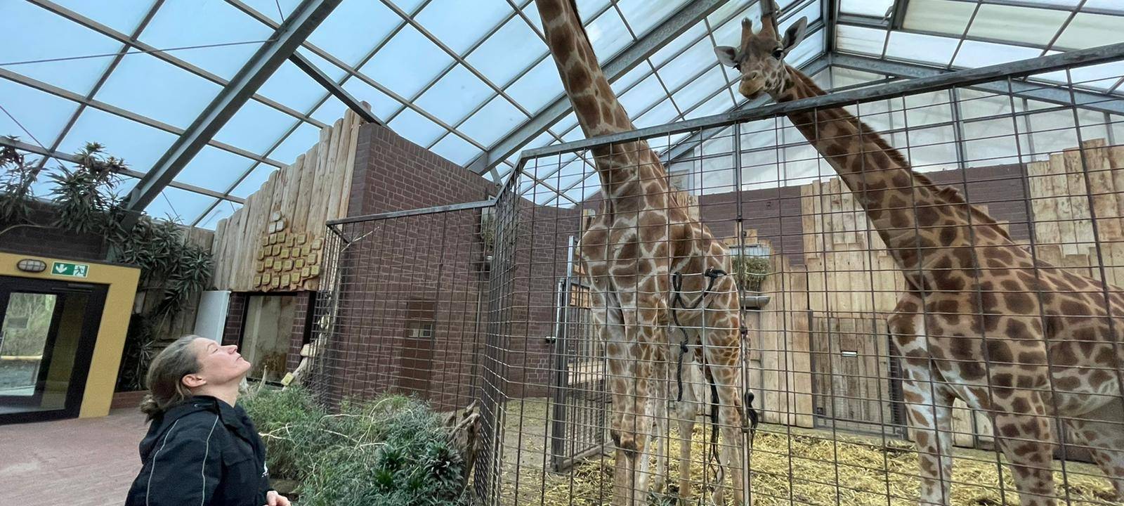 Helden der Frühschicht: Tierpfleger im Dortmunder Zoo