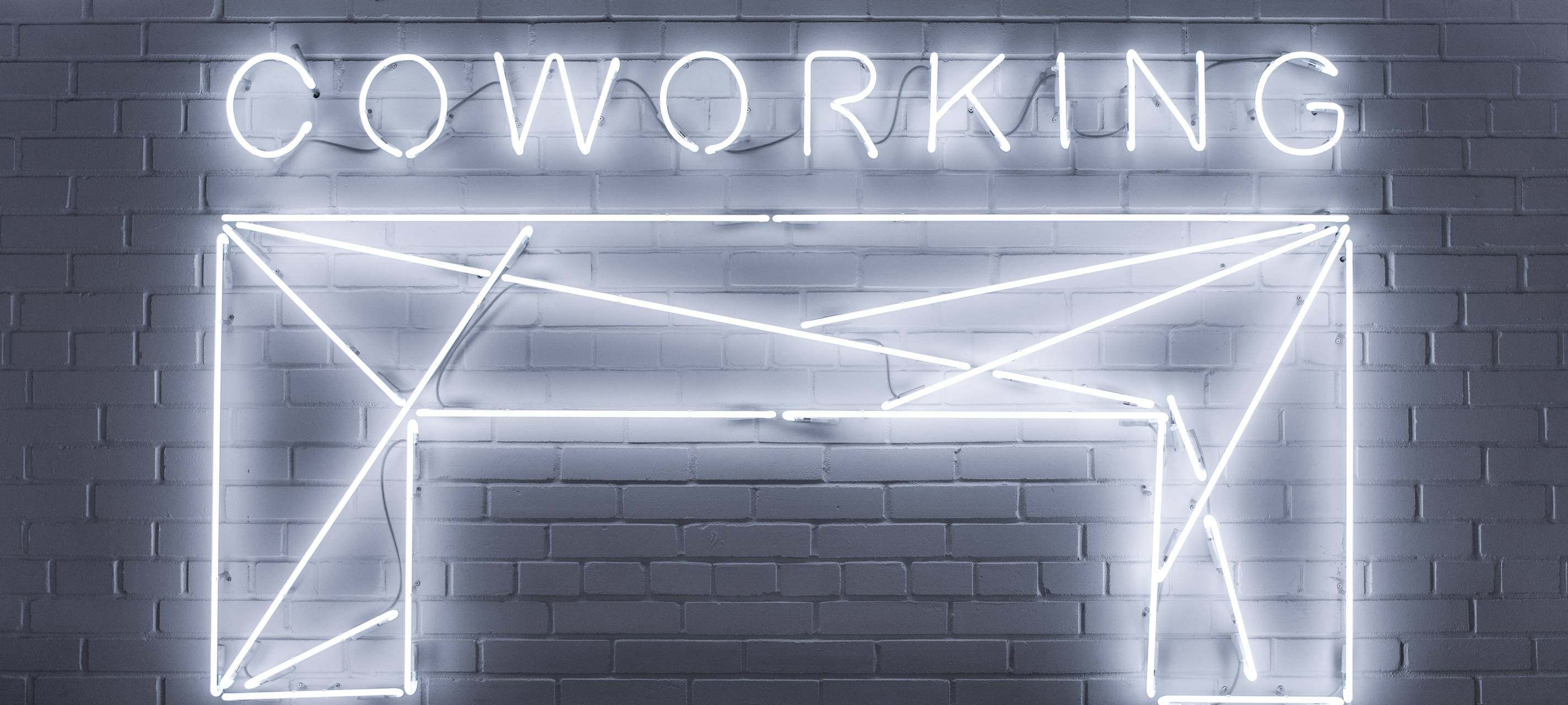 Vegan arbeiten im Kreuzviertel