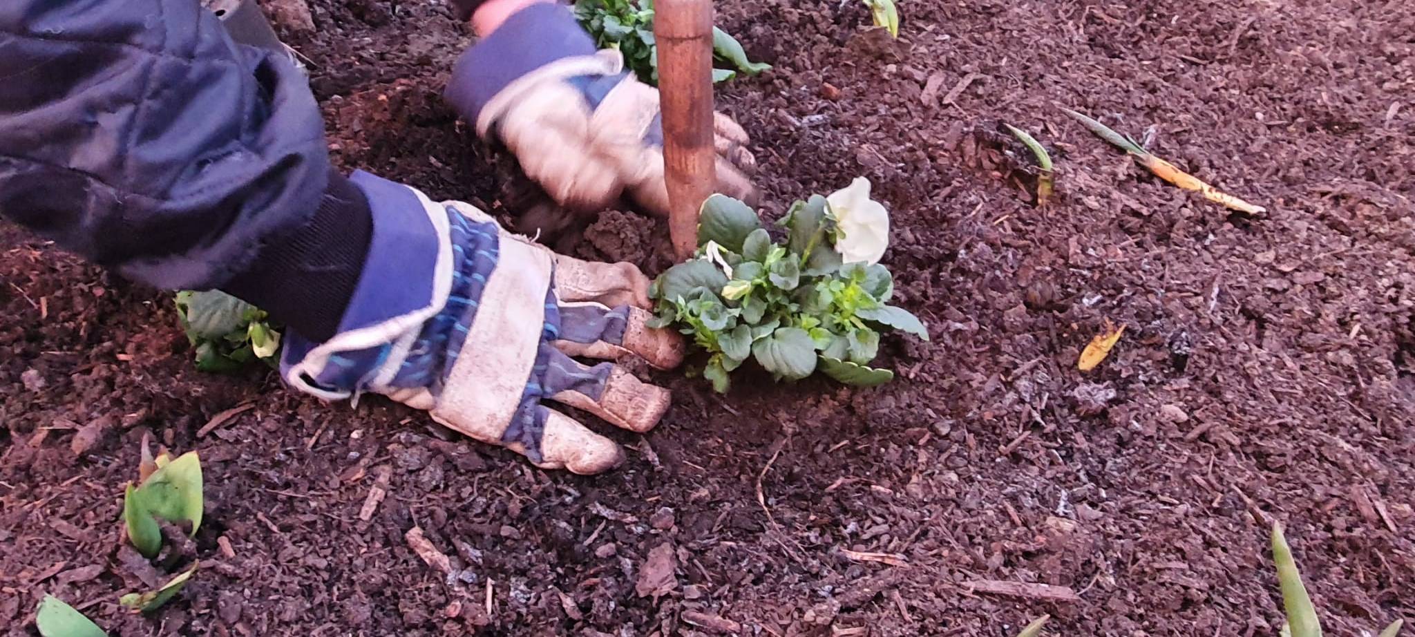 Helden der Frühschicht: Dortmunder Grünflächenamt