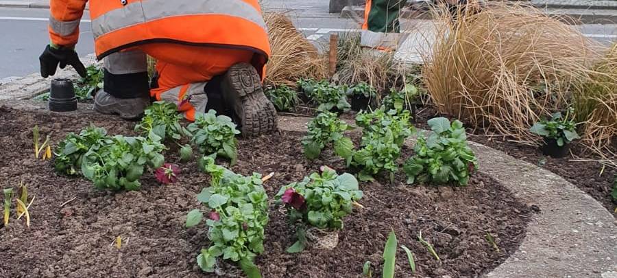 Helden der Frühschicht: Dortmunder Grünflächenamt