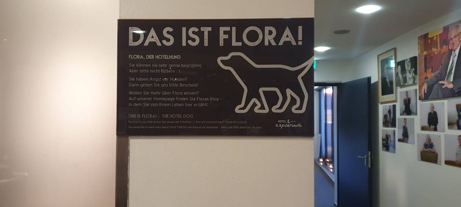 Helden der Frühschicht: Hotel Esplanade