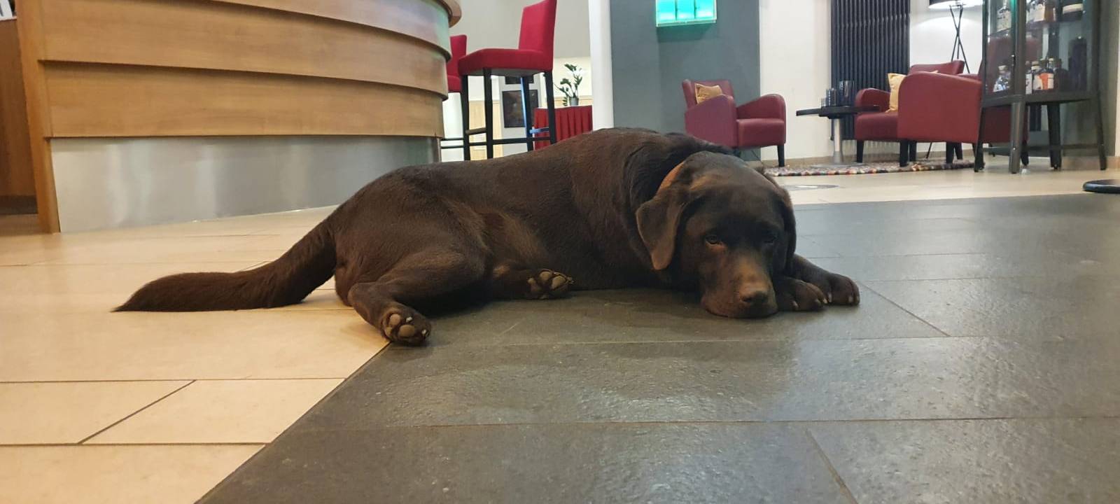 Helden der Frühschicht: Hotel Esplanade