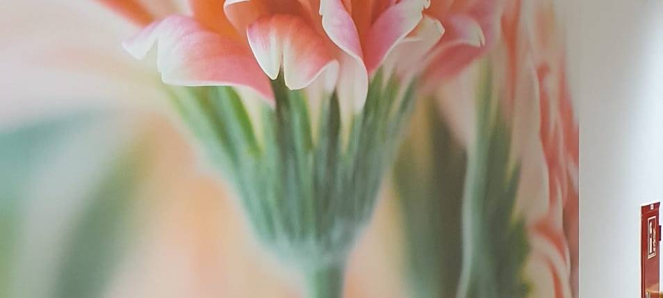 Helden der Frühschicht: Pflegekräfte im Klinikum Westfalen