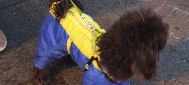 Ukraine-Krieg: Lange Warteschlangen am Dortmunder Sozialamt