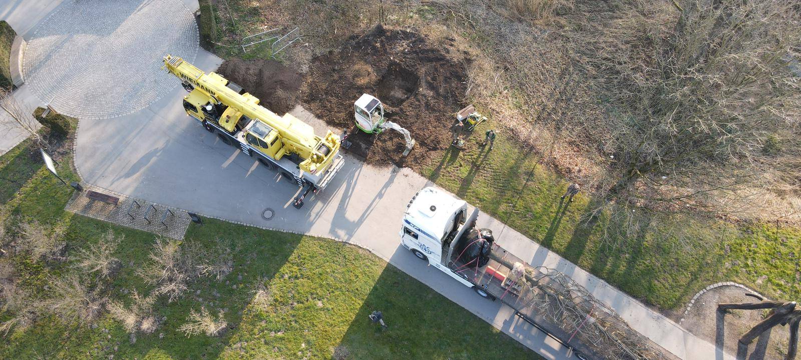 Helden der Frühschicht: Landschaftsgärtner im Rombergpark