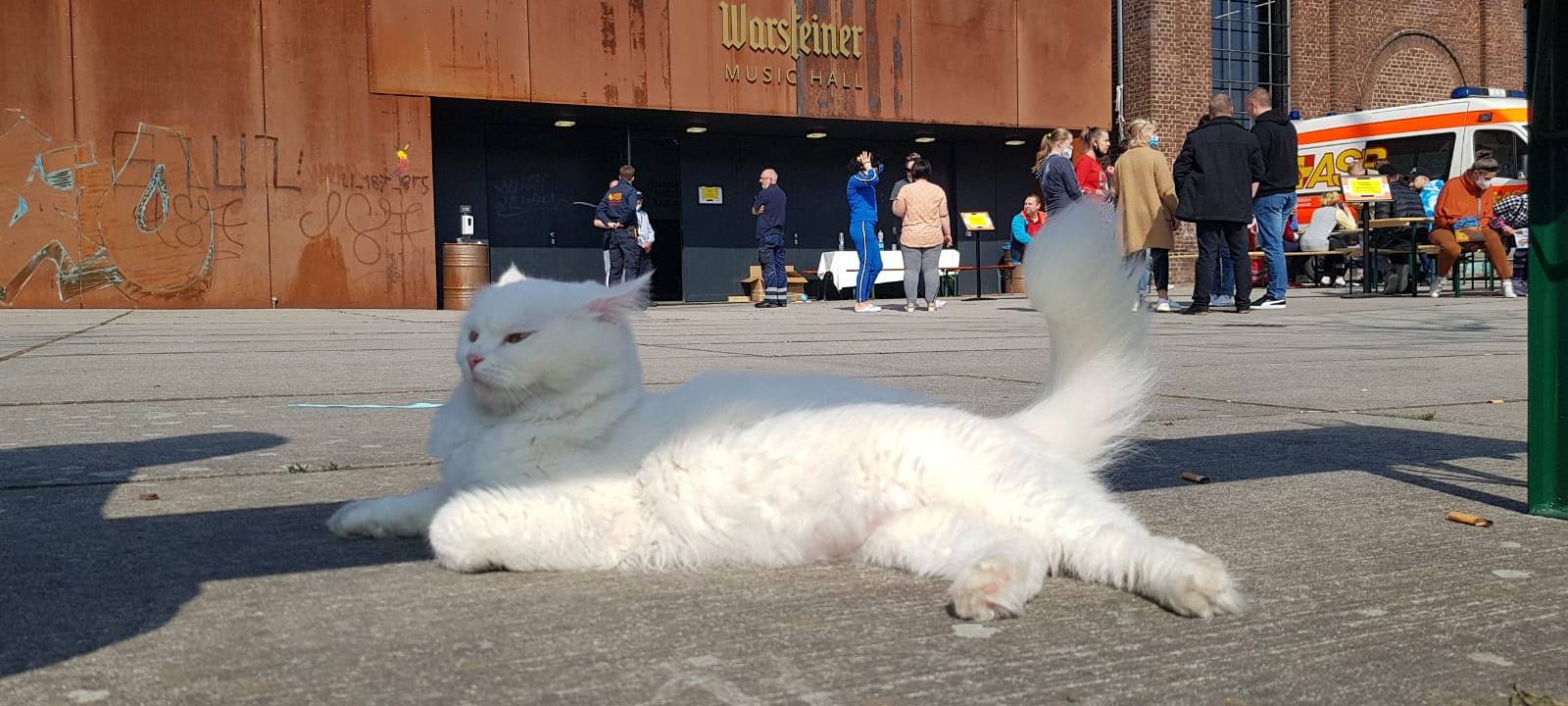 Warsteiner Music Hall: Ehepaar spricht über die Flucht aus Odessa