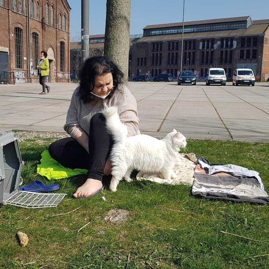 Lilia aus der Ukraine und ihre Katzen an der Warsteiner Music Hall.