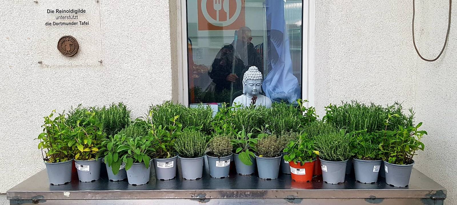 Helden der Frühschicht: Dortmunder Tafel