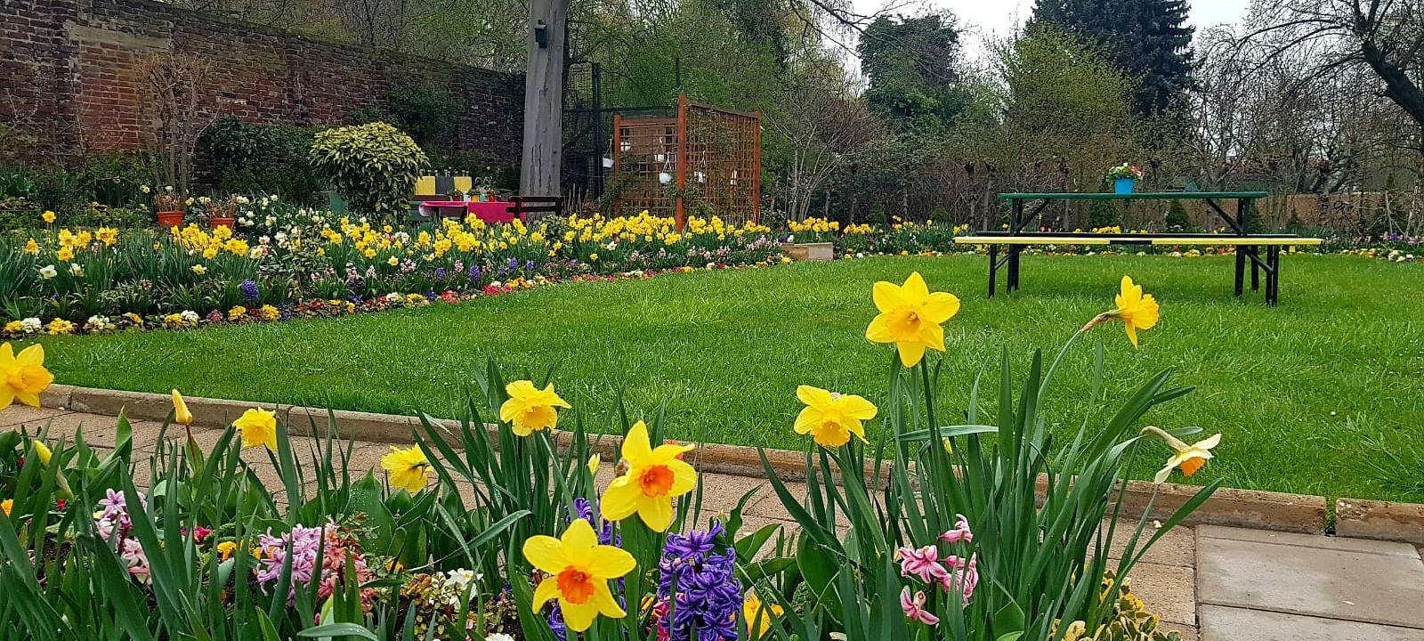 Helden der Frühschicht: Dortmunder Tafel