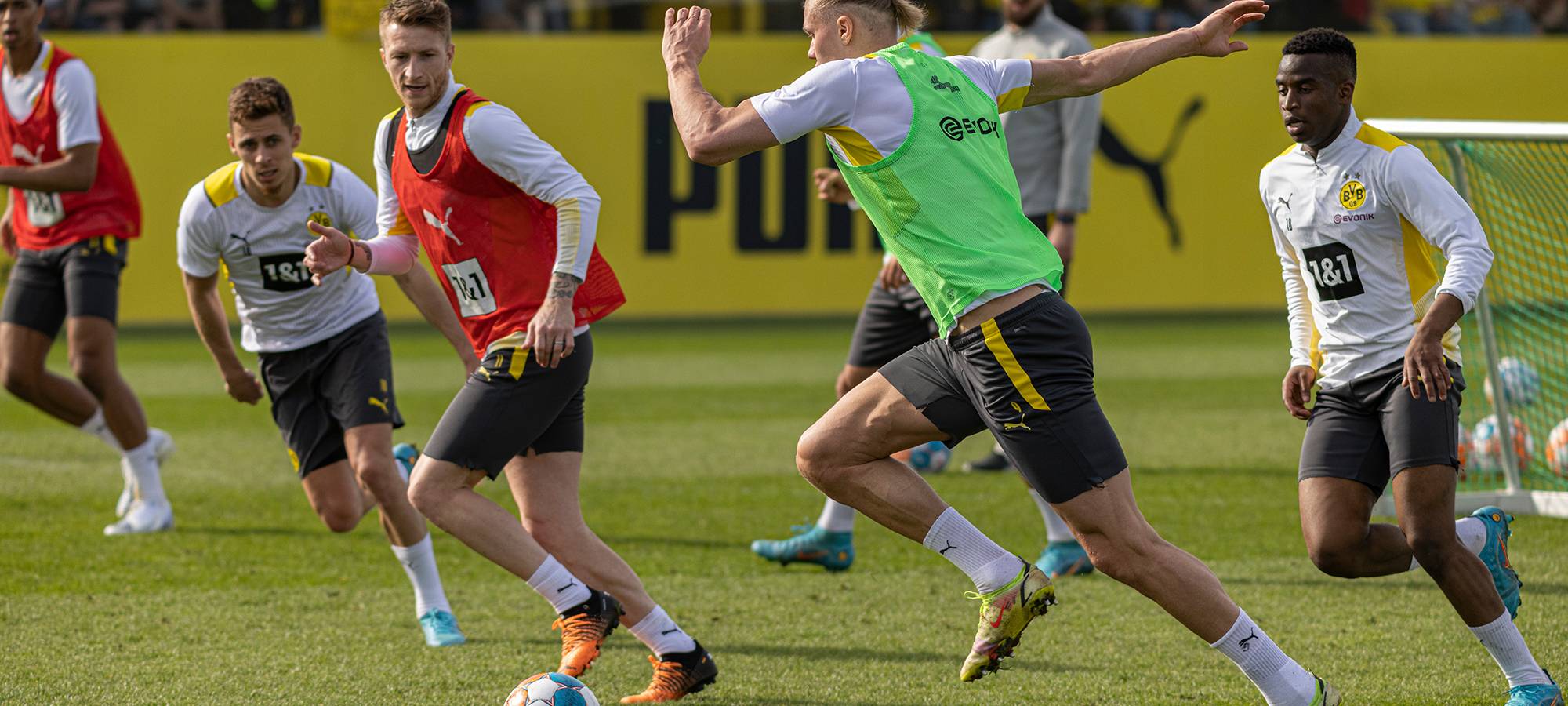 Live: BVB lädt zum öffentlichen Training ein