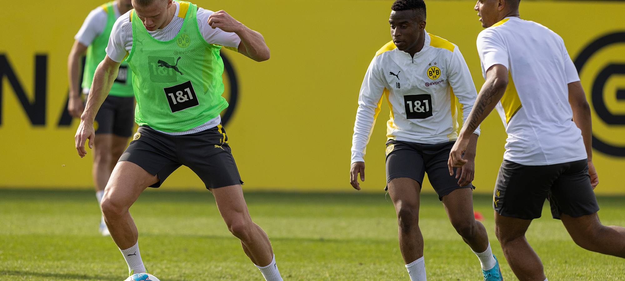 Live: BVB lädt zum öffentlichen Training ein