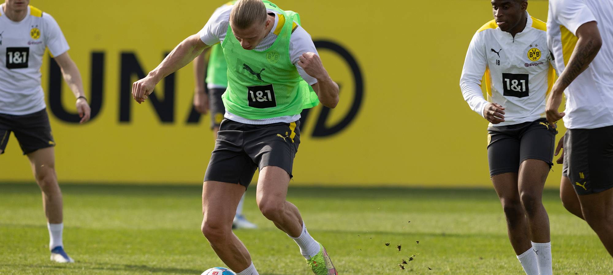 Live: BVB lädt zum öffentlichen Training ein