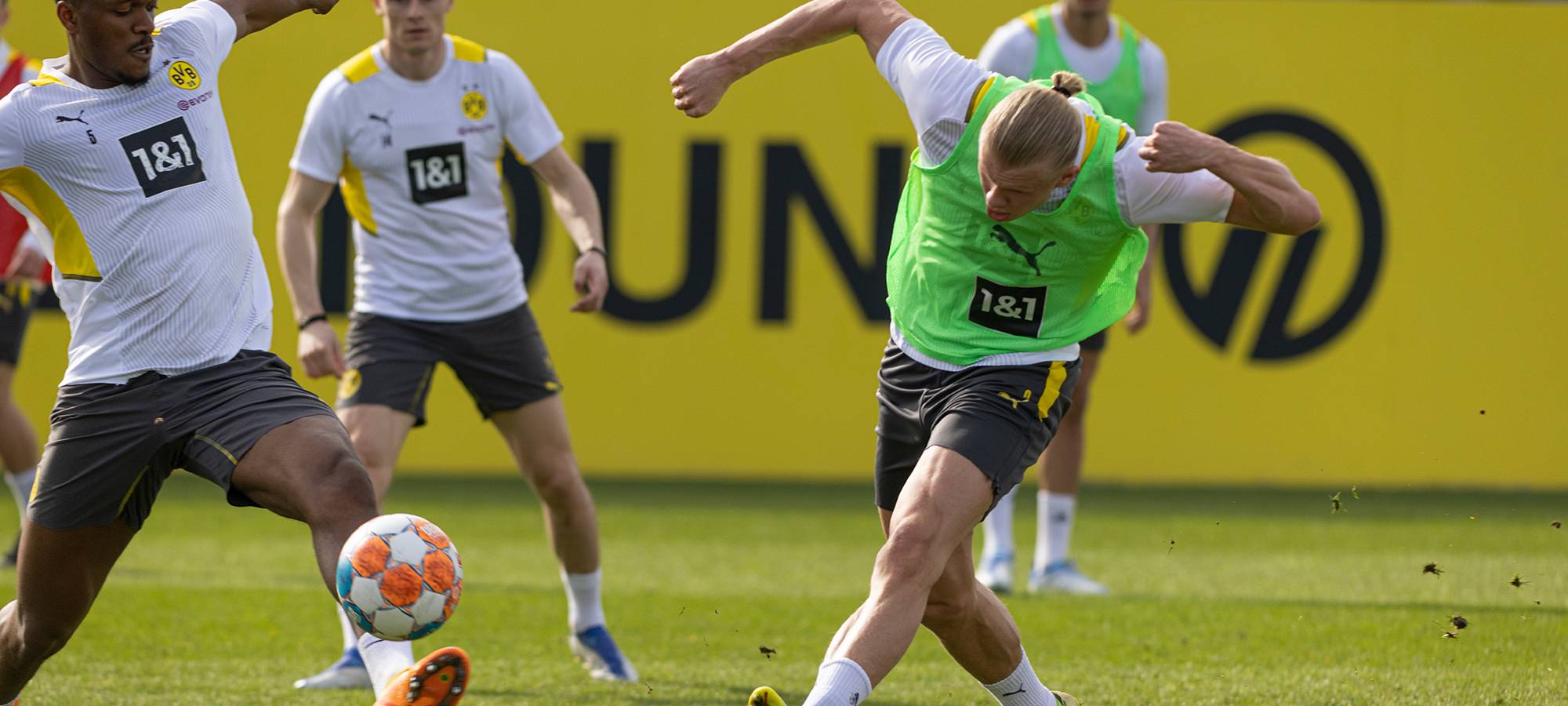 Live: BVB lädt zum öffentlichen Training ein