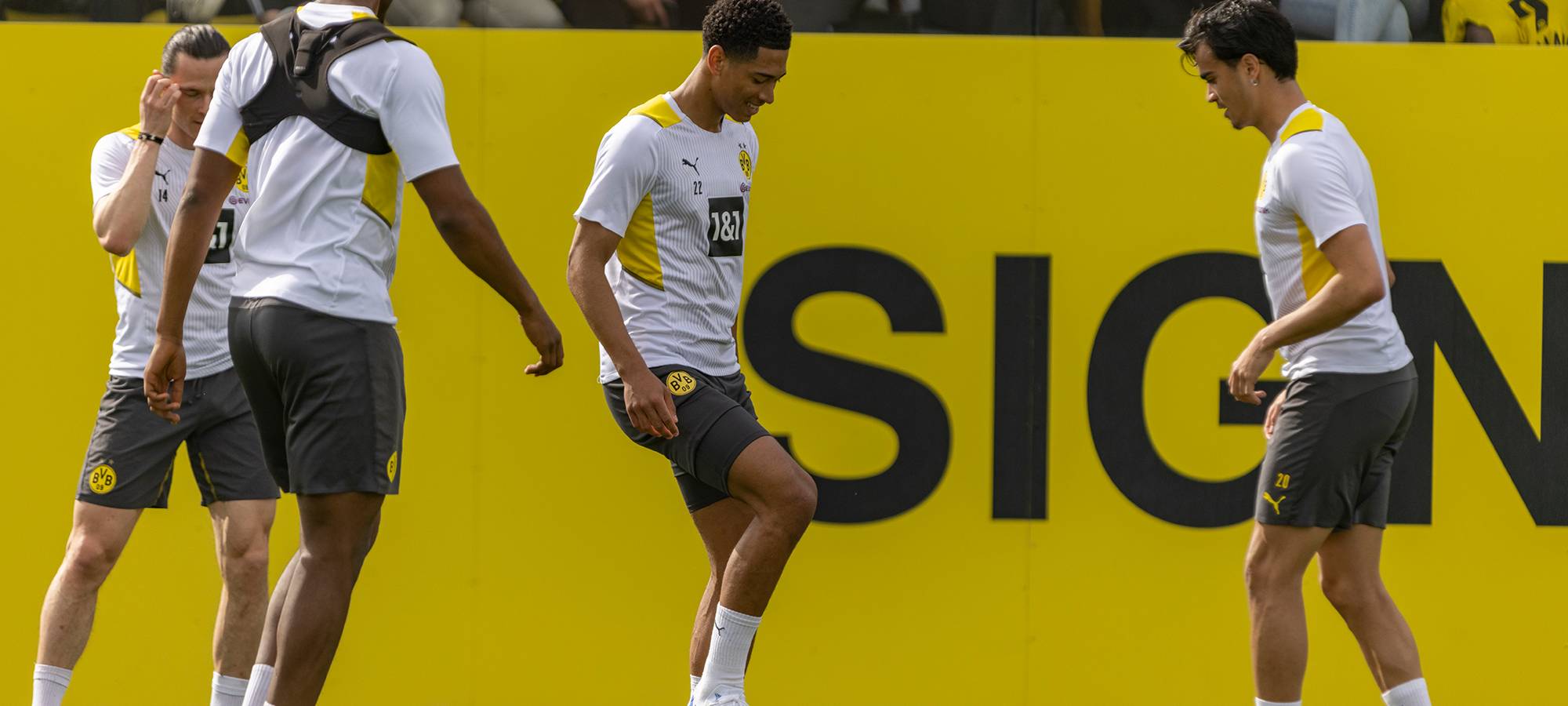 Live: BVB lädt zum öffentlichen Training ein