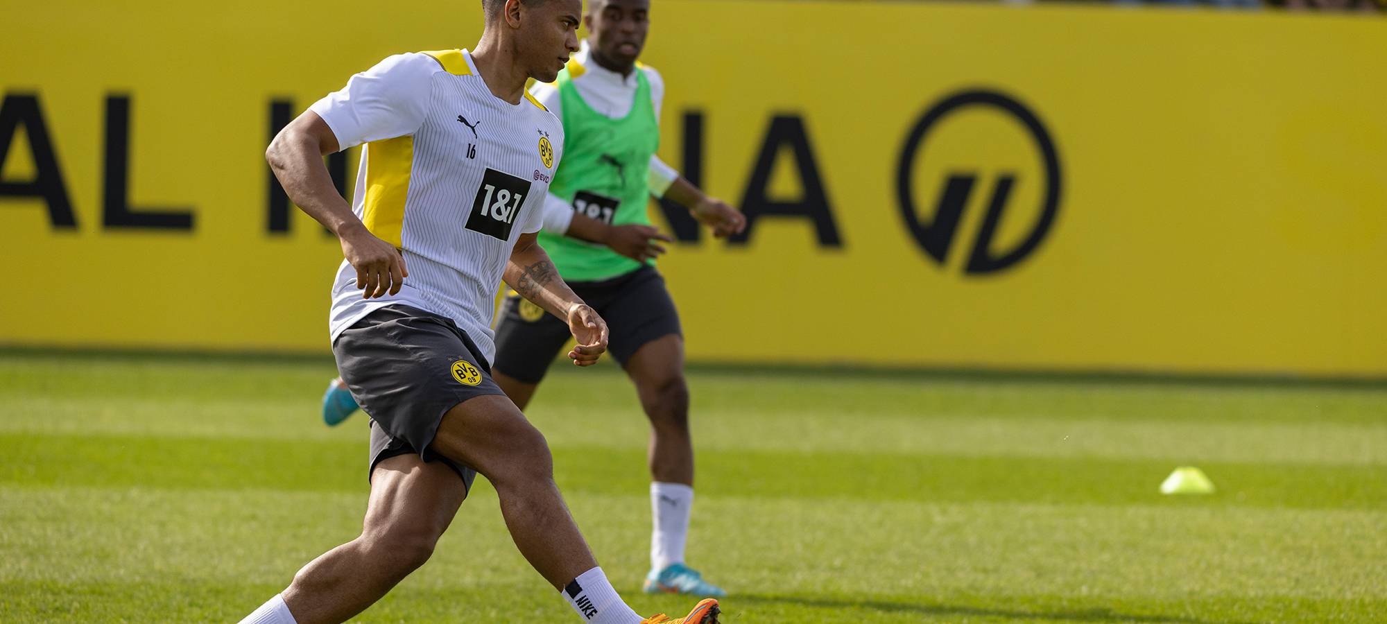 Live: BVB lädt zum öffentlichen Training ein