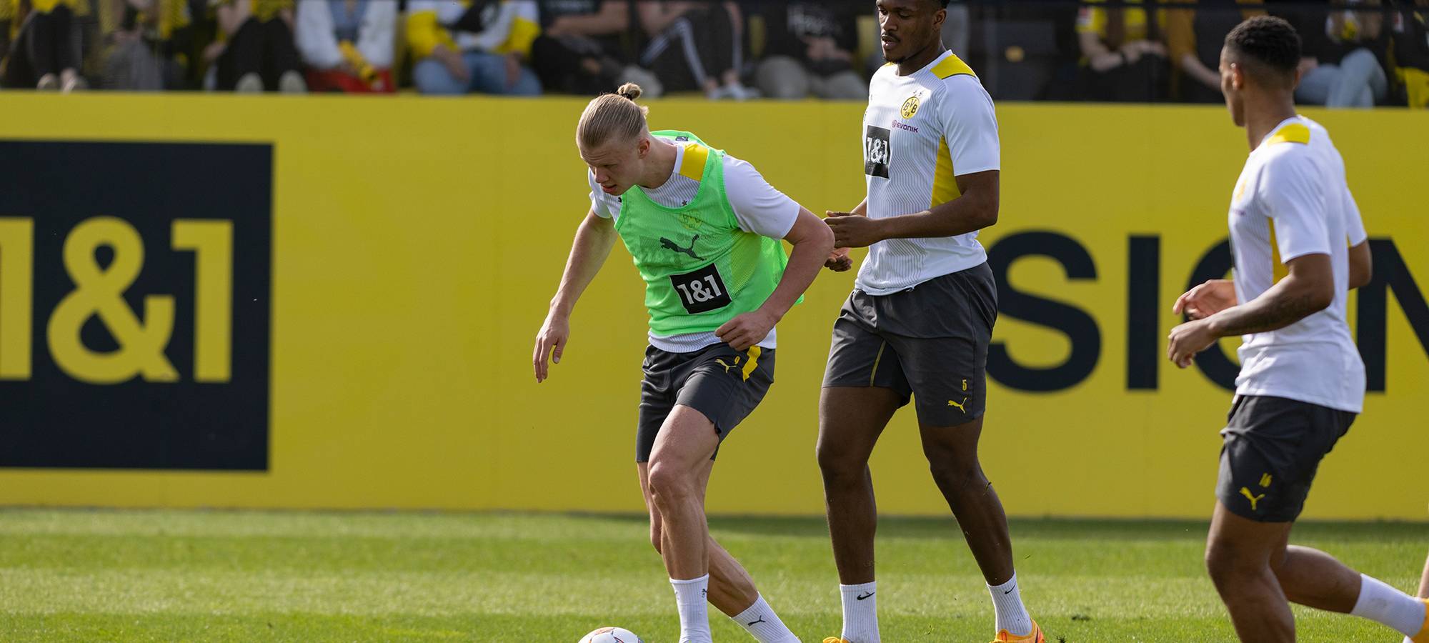 Live: BVB lädt zum öffentlichen Training ein