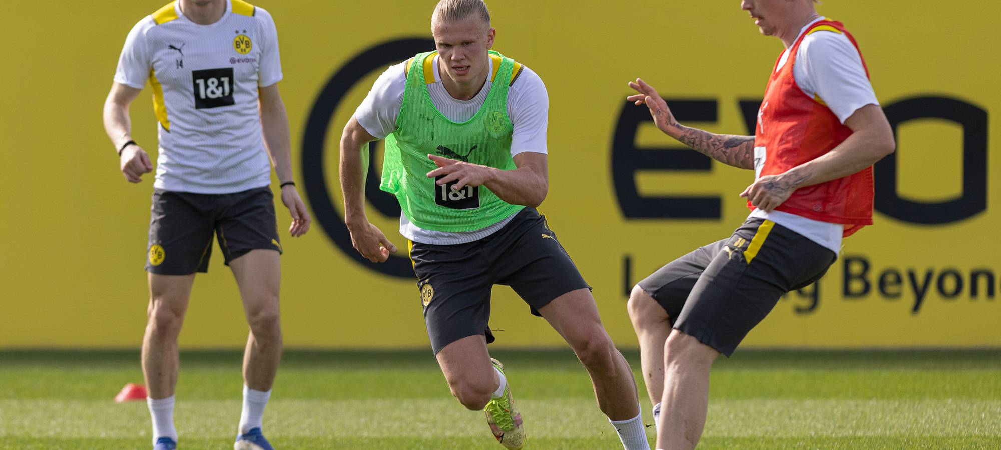 Live: BVB lädt zum öffentlichen Training ein