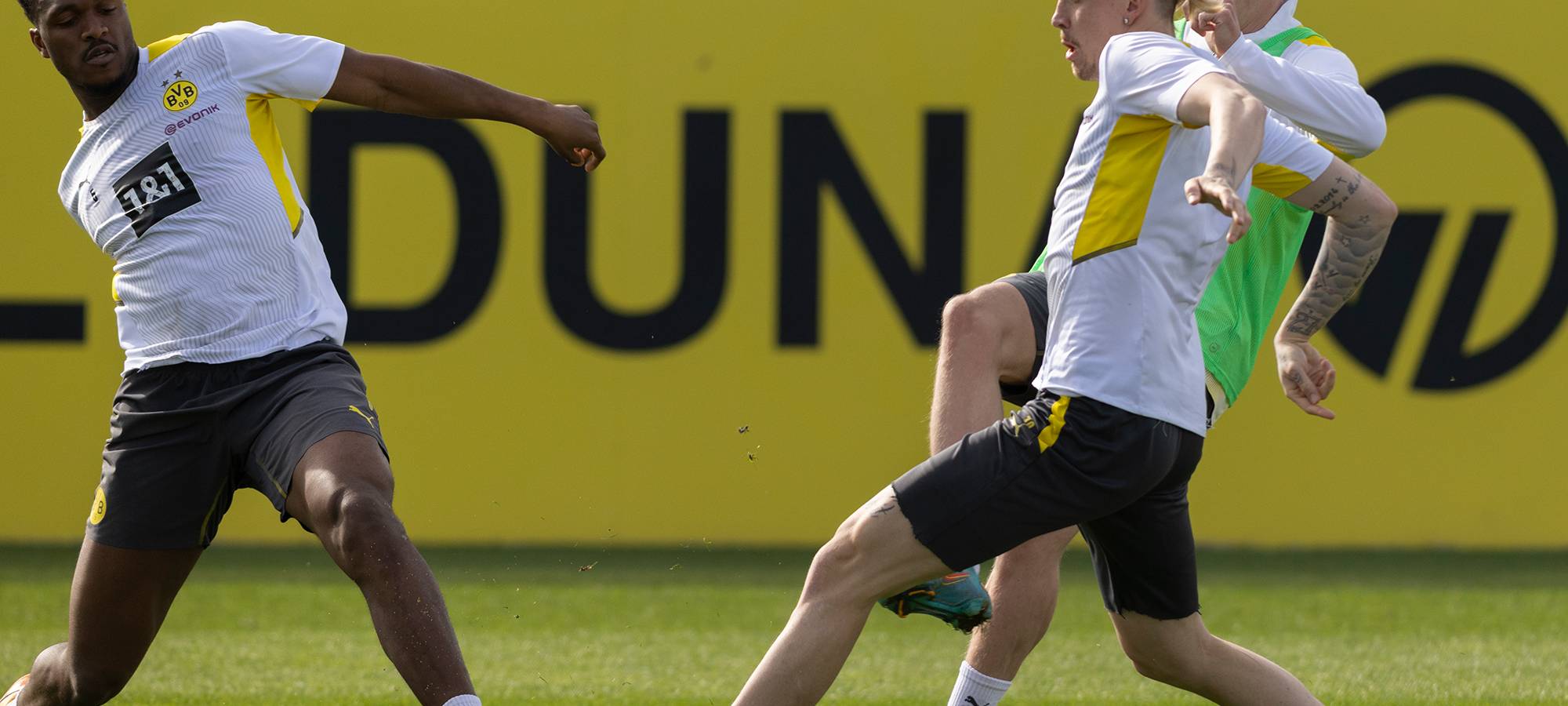 Live: BVB lädt zum öffentlichen Training ein