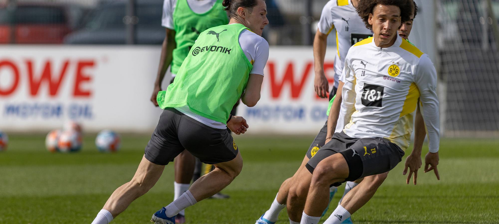 Live: BVB lädt zum öffentlichen Training ein