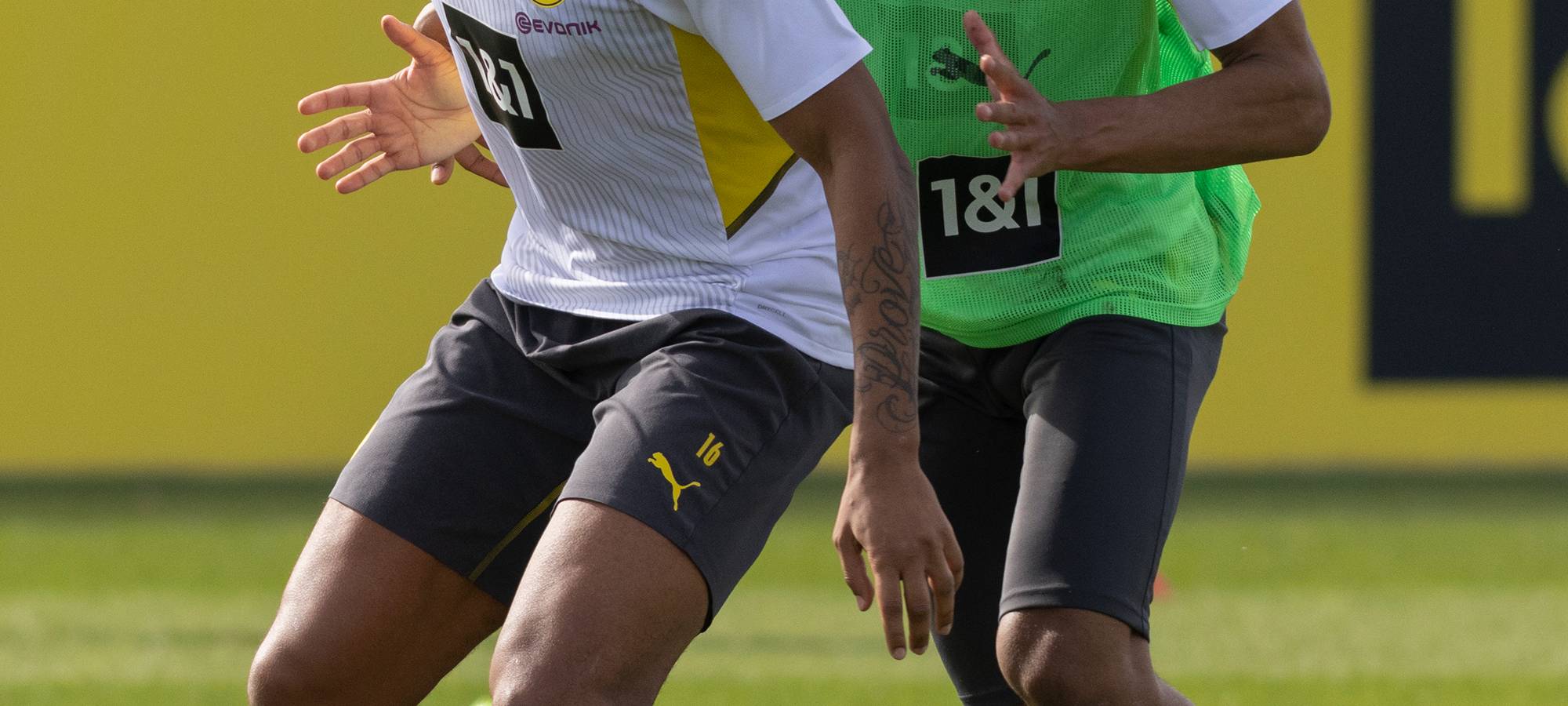 Live: BVB lädt zum öffentlichen Training ein