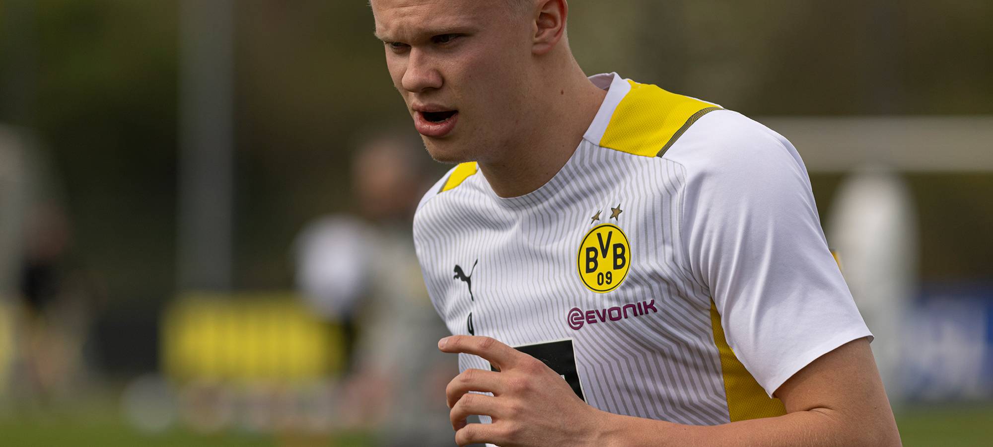 Live: BVB lädt zum öffentlichen Training ein