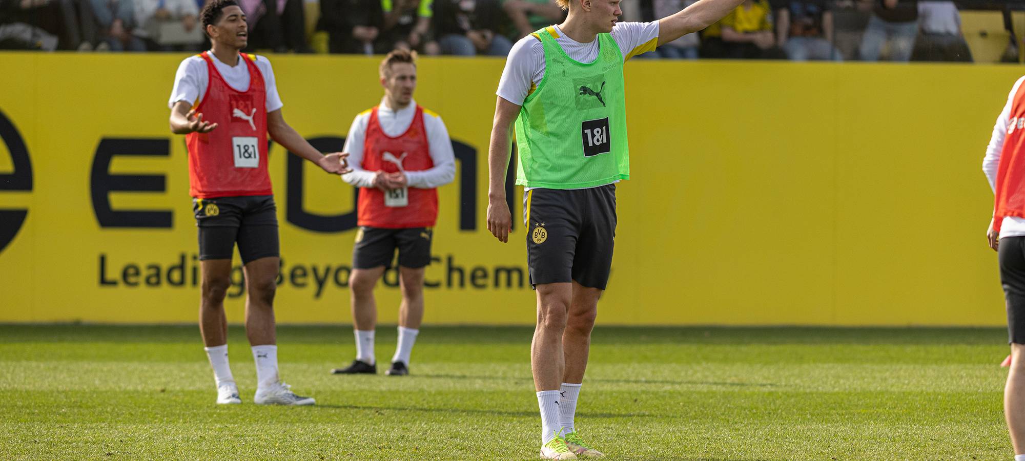 Live: BVB lädt zum öffentlichen Training ein