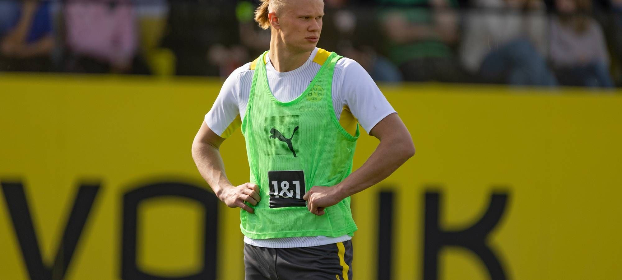 Live: BVB lädt zum öffentlichen Training ein