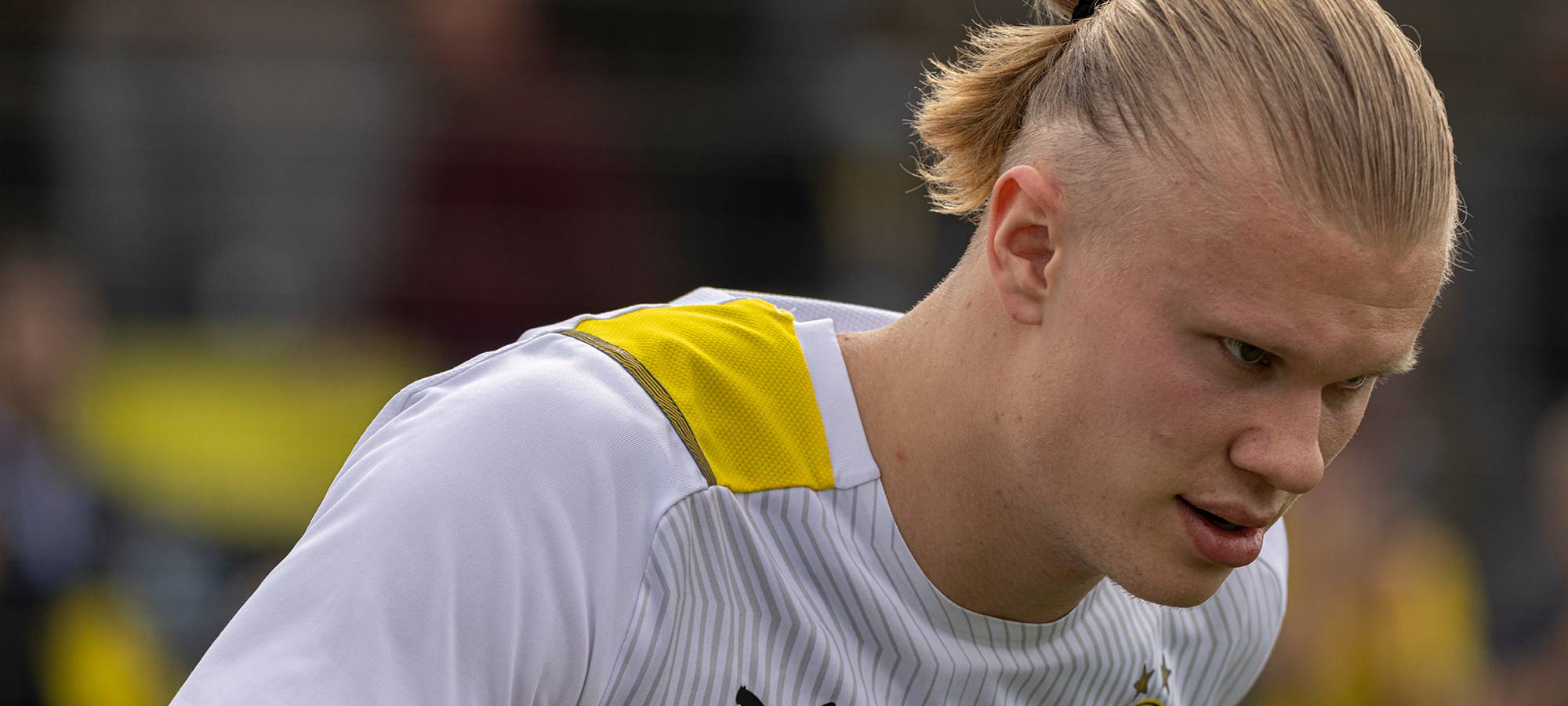 Live: BVB lädt zum öffentlichen Training ein