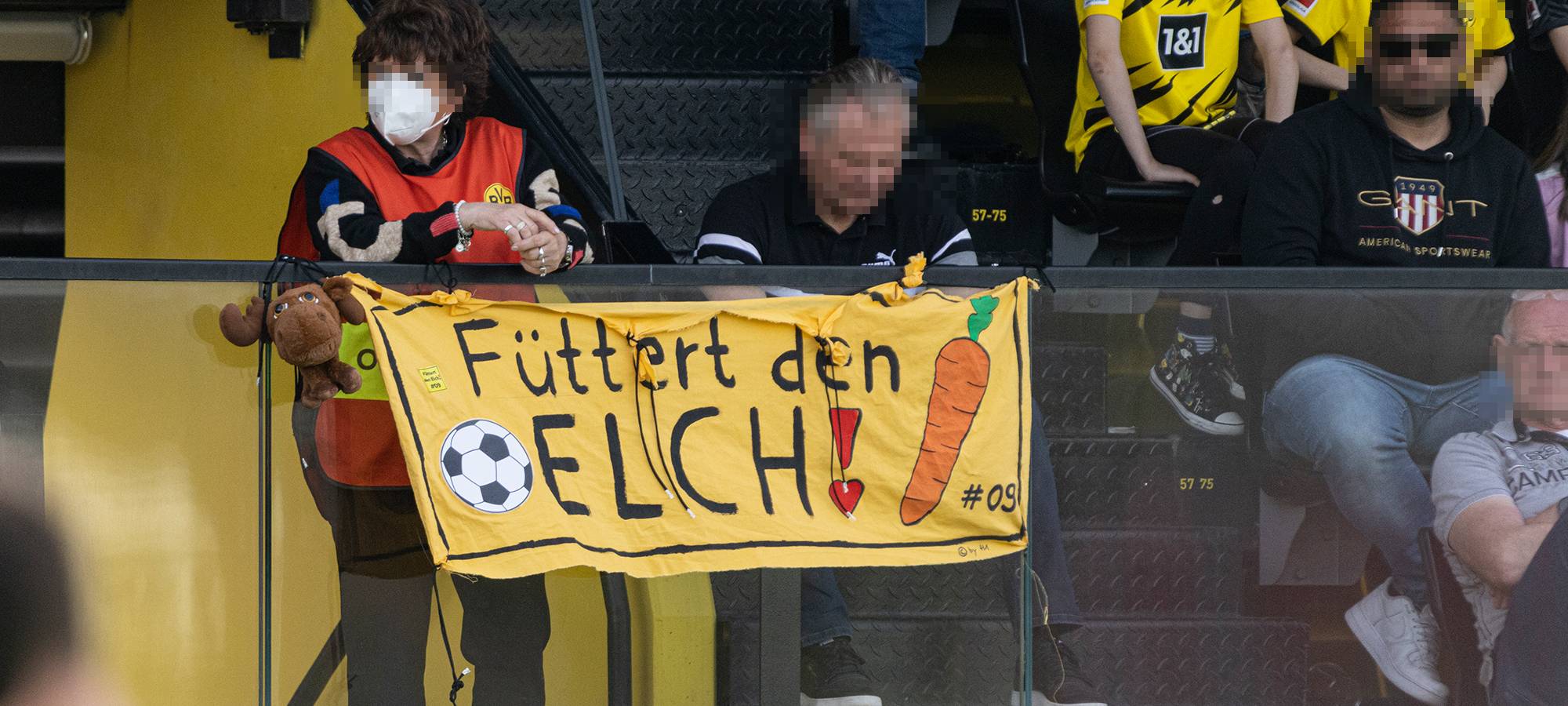 Live: BVB lädt zum öffentlichen Training ein