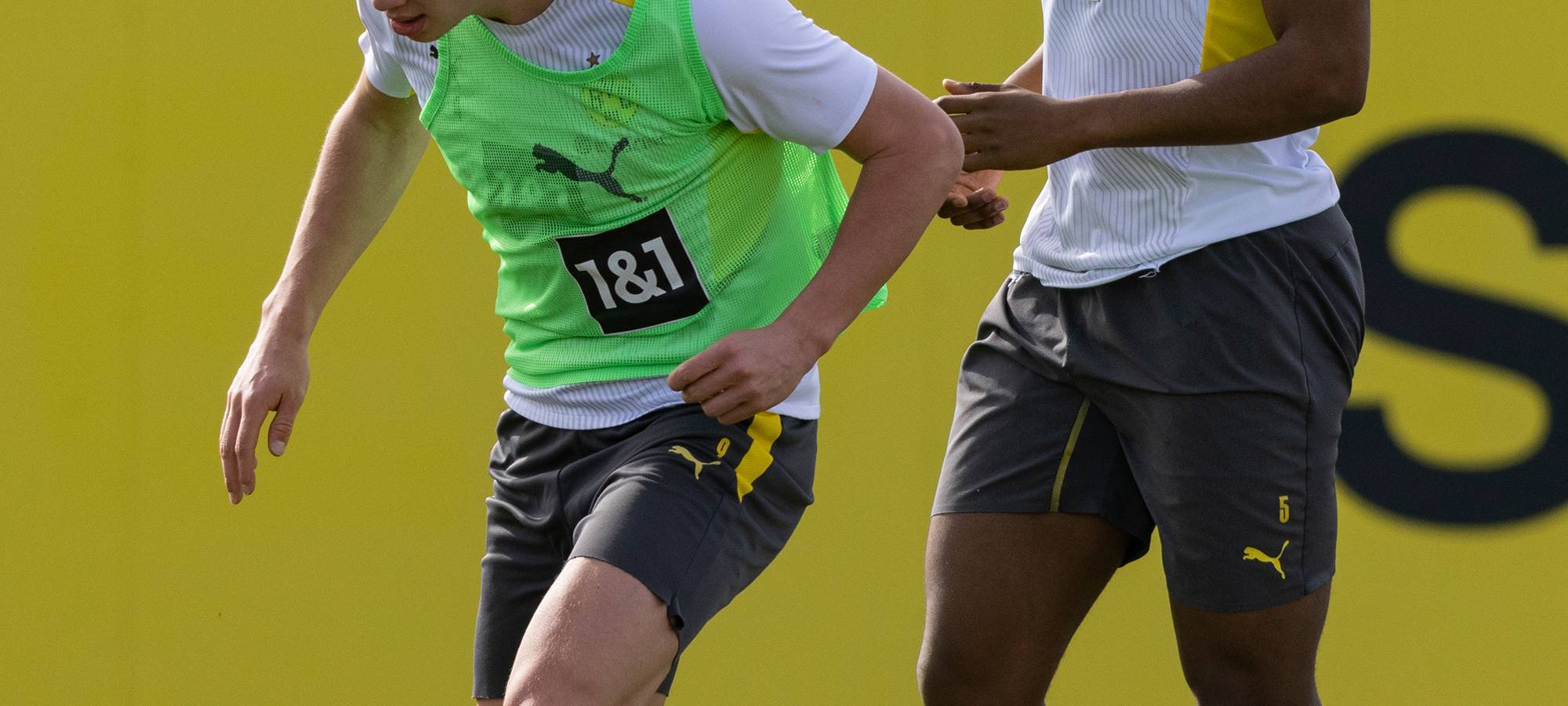 Live: BVB lädt zum öffentlichen Training ein