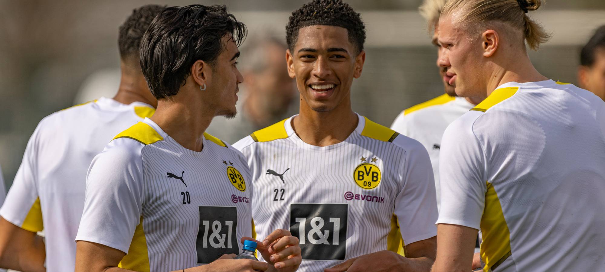 Live: BVB lädt zum öffentlichen Training ein