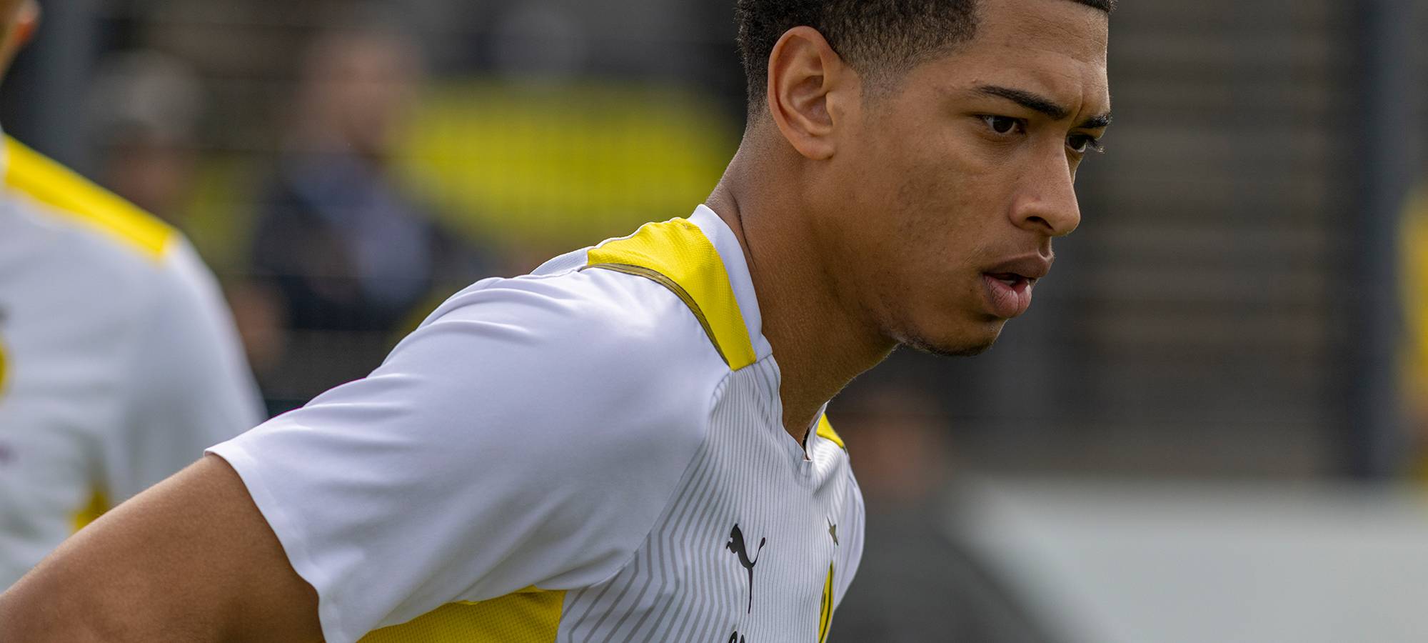 Live: BVB lädt zum öffentlichen Training ein