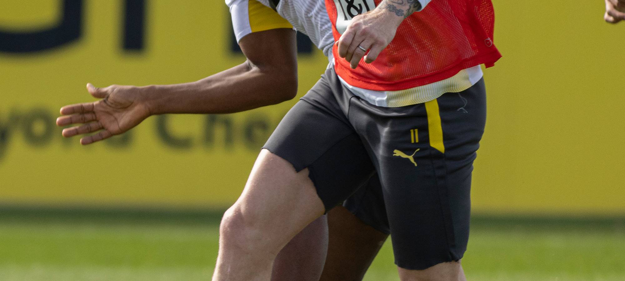 Live: BVB lädt zum öffentlichen Training ein