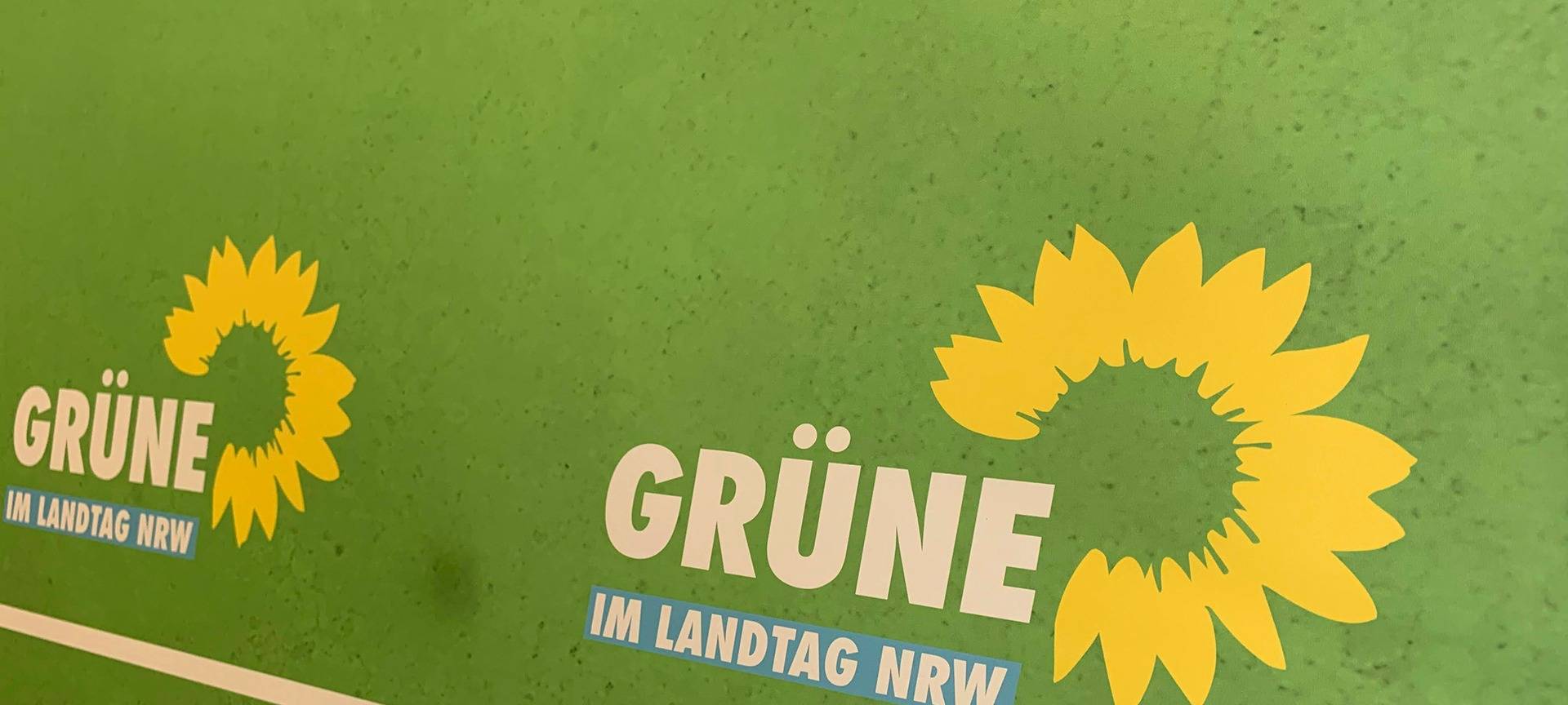 Dortmunder Grüne mit Plus in allen Wahlbezirken