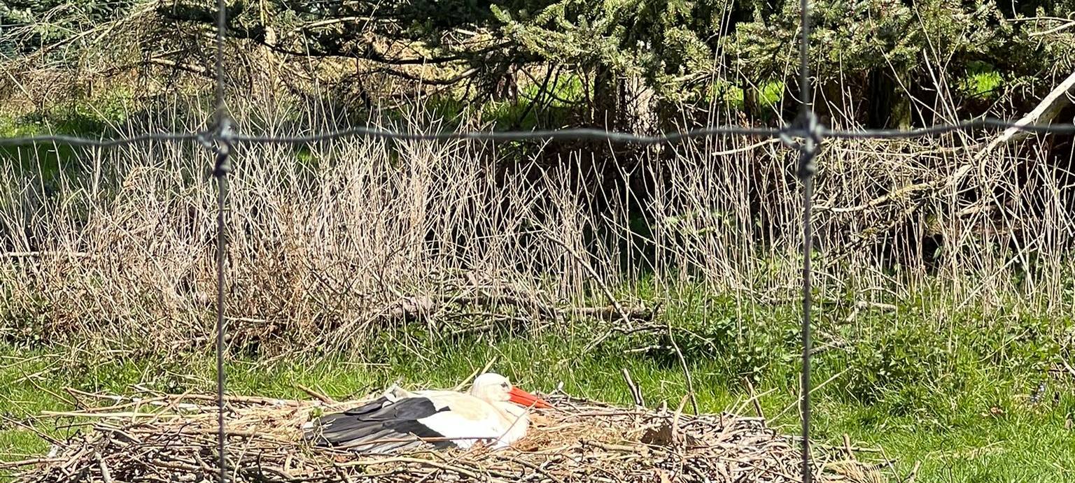Frühlingsstimmung im Dortmunder Zoo