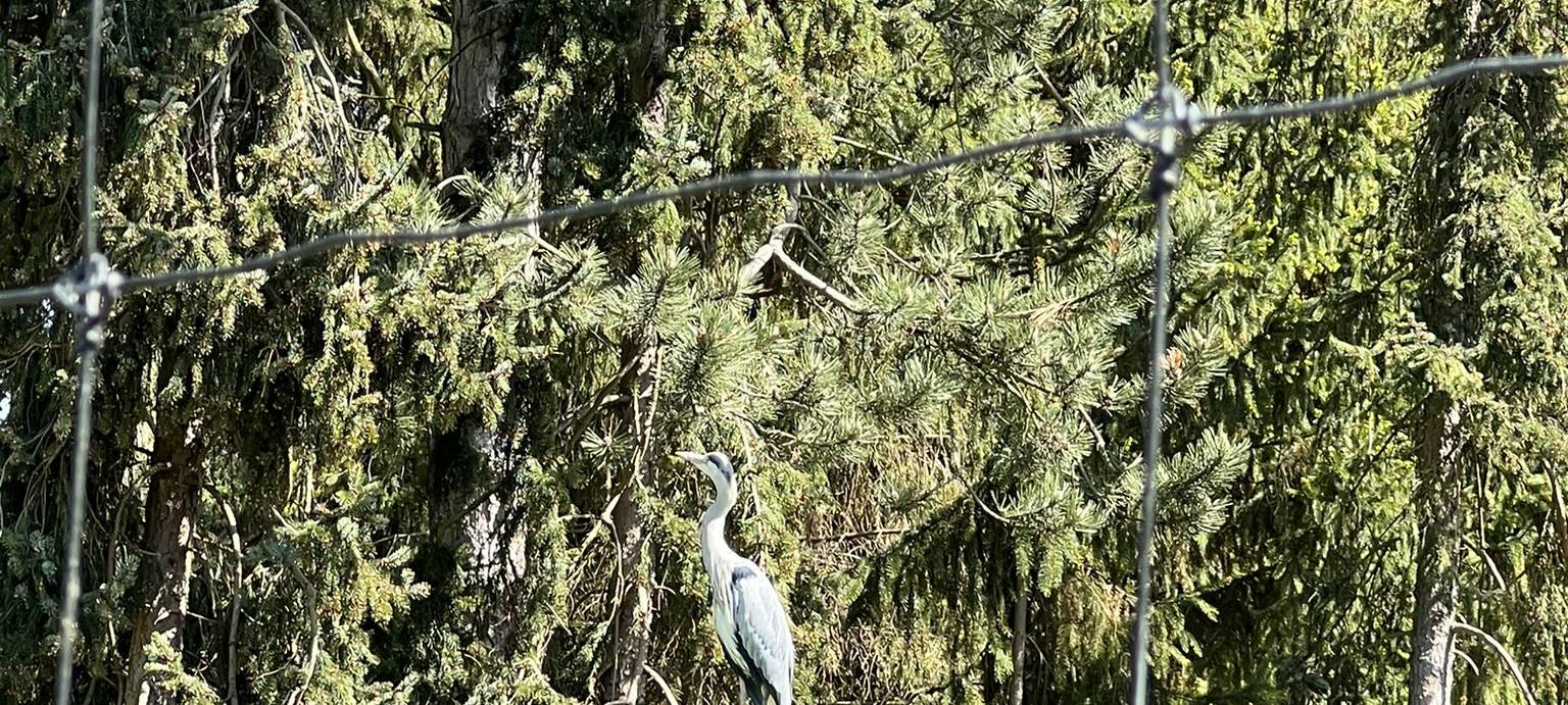 Frühlingsstimmung im Dortmunder Zoo