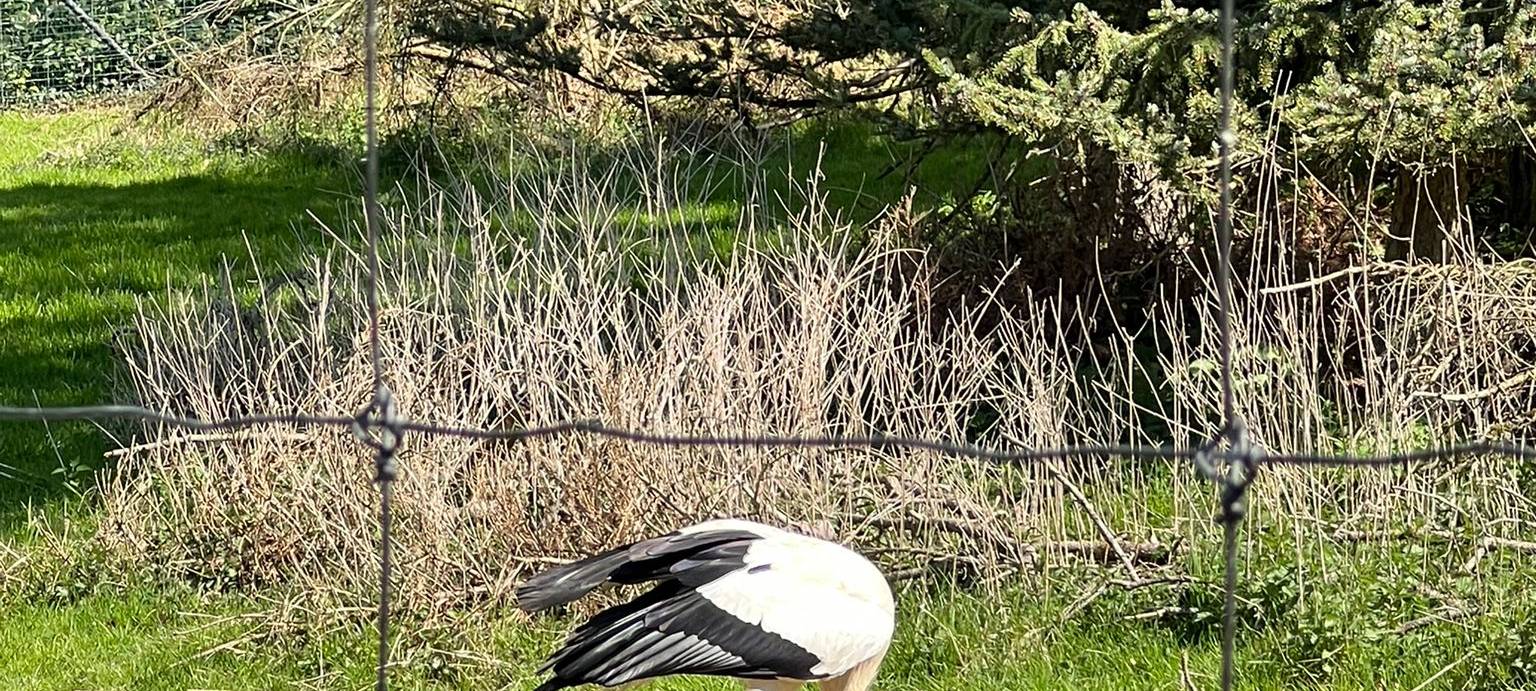 Frühlingsstimmung im Dortmunder Zoo