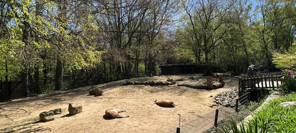 Frühlingsstimmung im Dortmunder Zoo