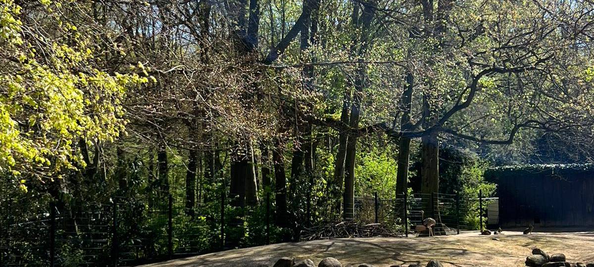 Frühlingsstimmung im Dortmunder Zoo